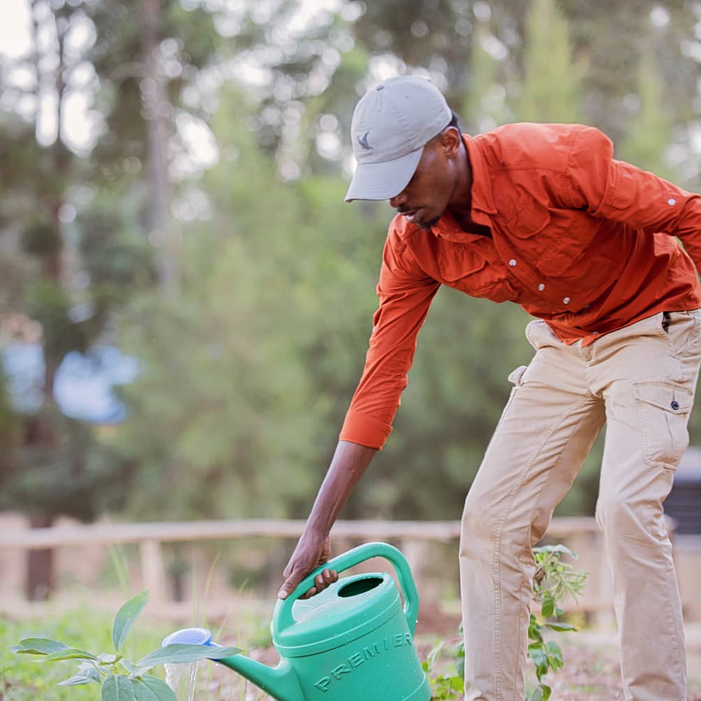 Berulo Eco Initiative