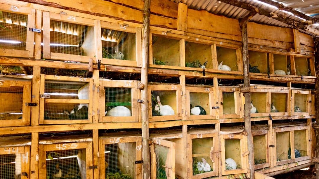 Berulo UP empowerment